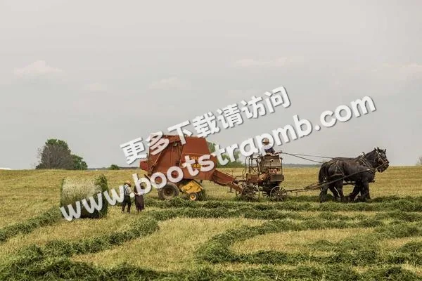 ⊞ Portfolio - 九游yijunfeng